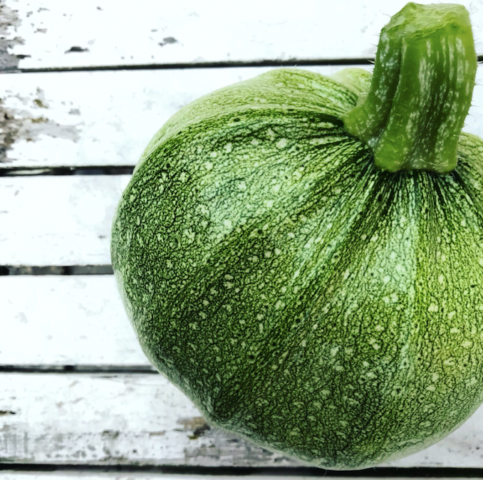 courgette