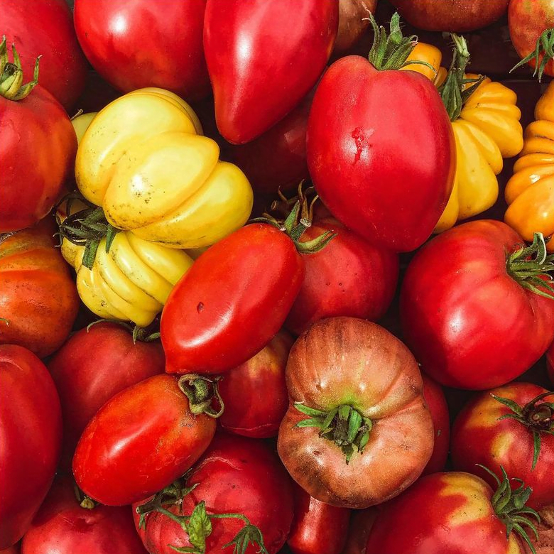 Tomaten uit eigen tuin