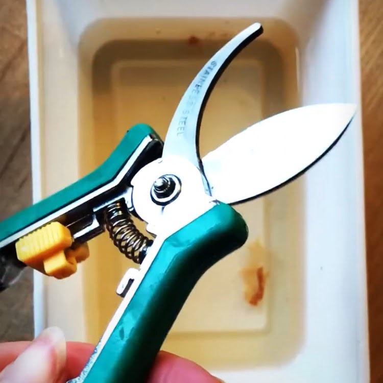 Tuingereedschap schoonmaken